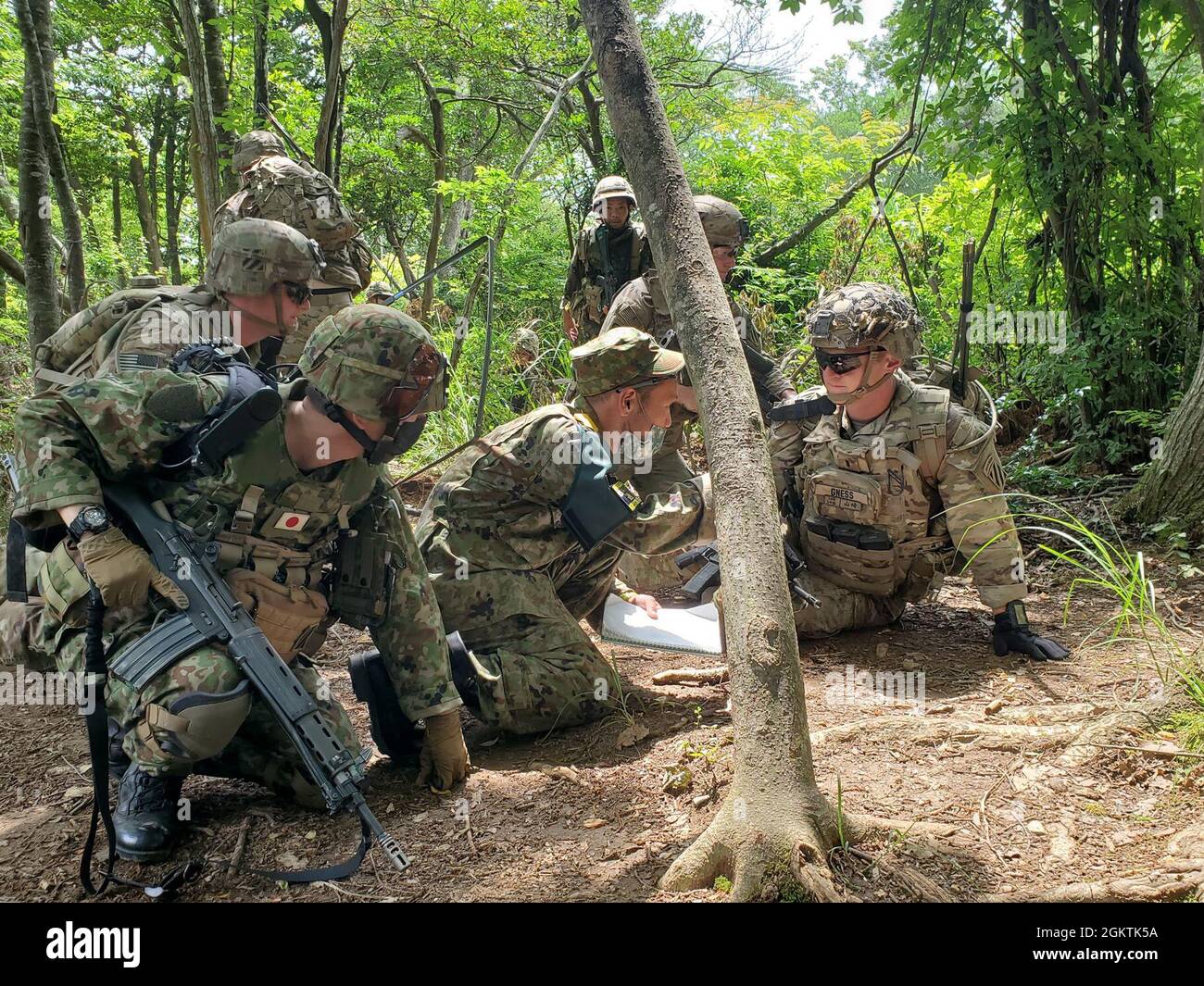 Black test platoon hires stock photography and images Alamy