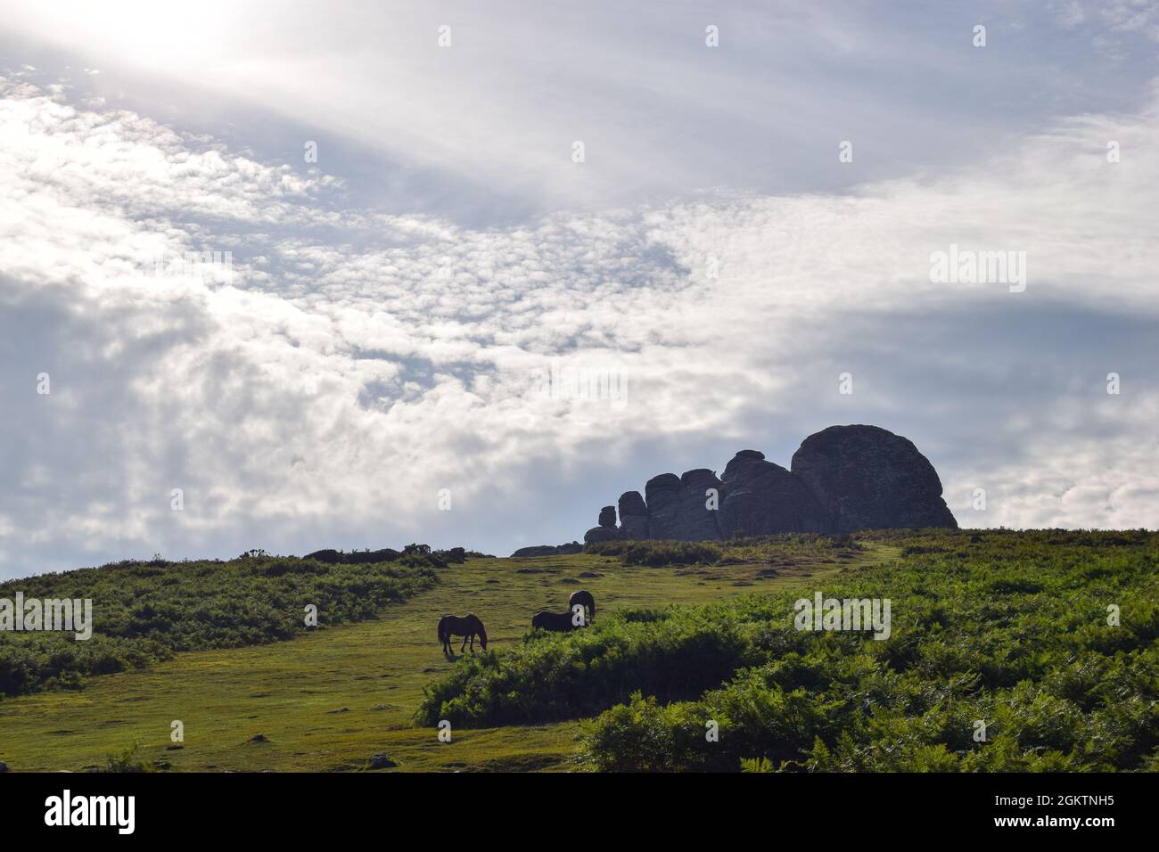 Haytor Rocks, Haytor 070921 Stock Photo - Alamy