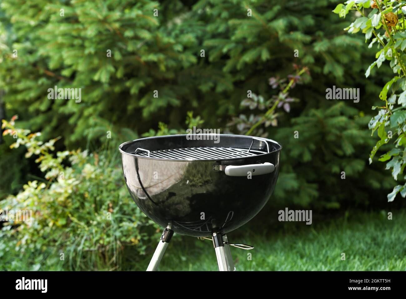 Barbecue grill on backyard Stock Photo - Alamy