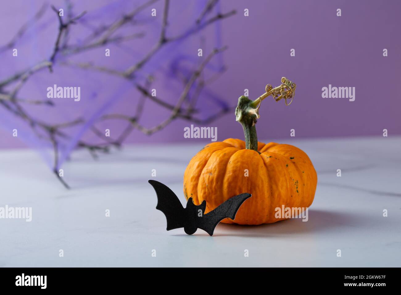 Halloween party concept orange pumpkin and bat Stock Photo