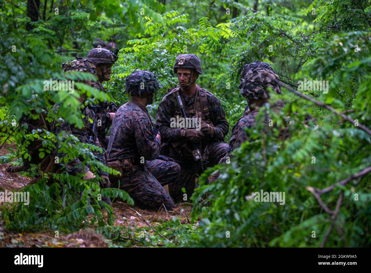 U.S. Marines with 2d Combat Engineer Battalion, 2d Marine Division ...
