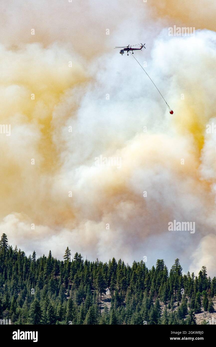 A helicopter drops water on the Beckwourth Complex Fire July 8, 2021 near Frenchman Lake in N. California. In addition to other resources, three Air National Guard C-130s--two from Nevada and one from California will assist in battling the Beckwourth Complex Fire in Northern California, The USDA Forest Service activated the MAFFS-equipped Air Force C-130 aircraft through a DoD request for assistance. The current activation runs through July 26, 2021. Stock Photo