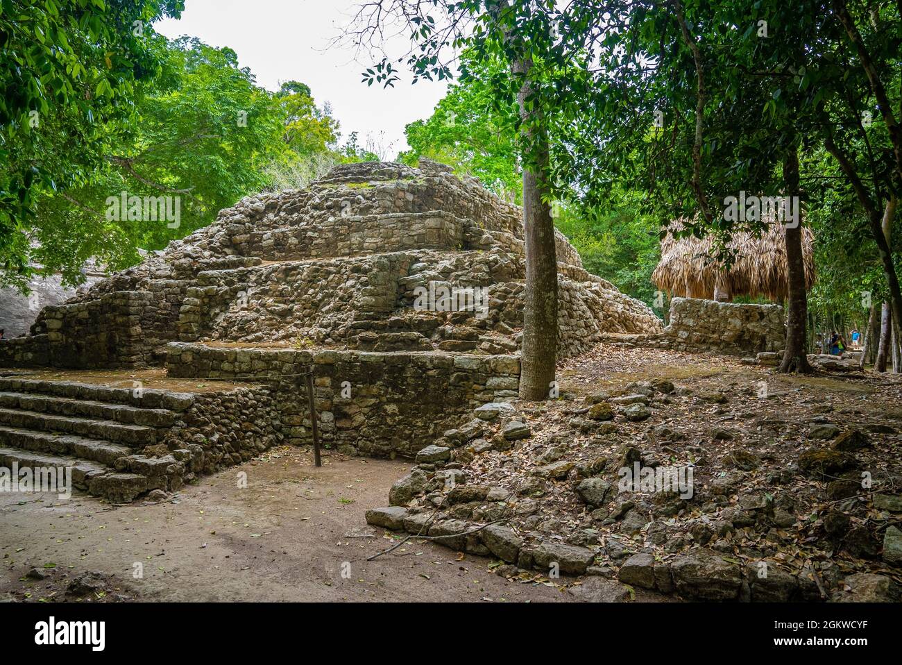 Nohoch Mul Pyramid at the ancient ruins of the Mayan city Coba Stock Photo