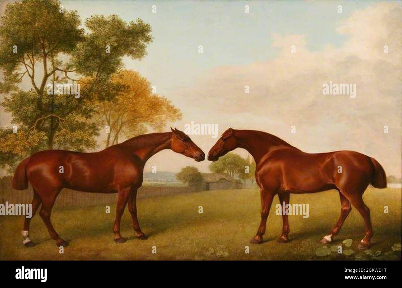 Лошадь с 2 девушками. Джордж Стаббс лошади. Джордж Стаббс художник. Джордж Стаббс живопись анималистика. Стаббс Джордж 1724 1806.