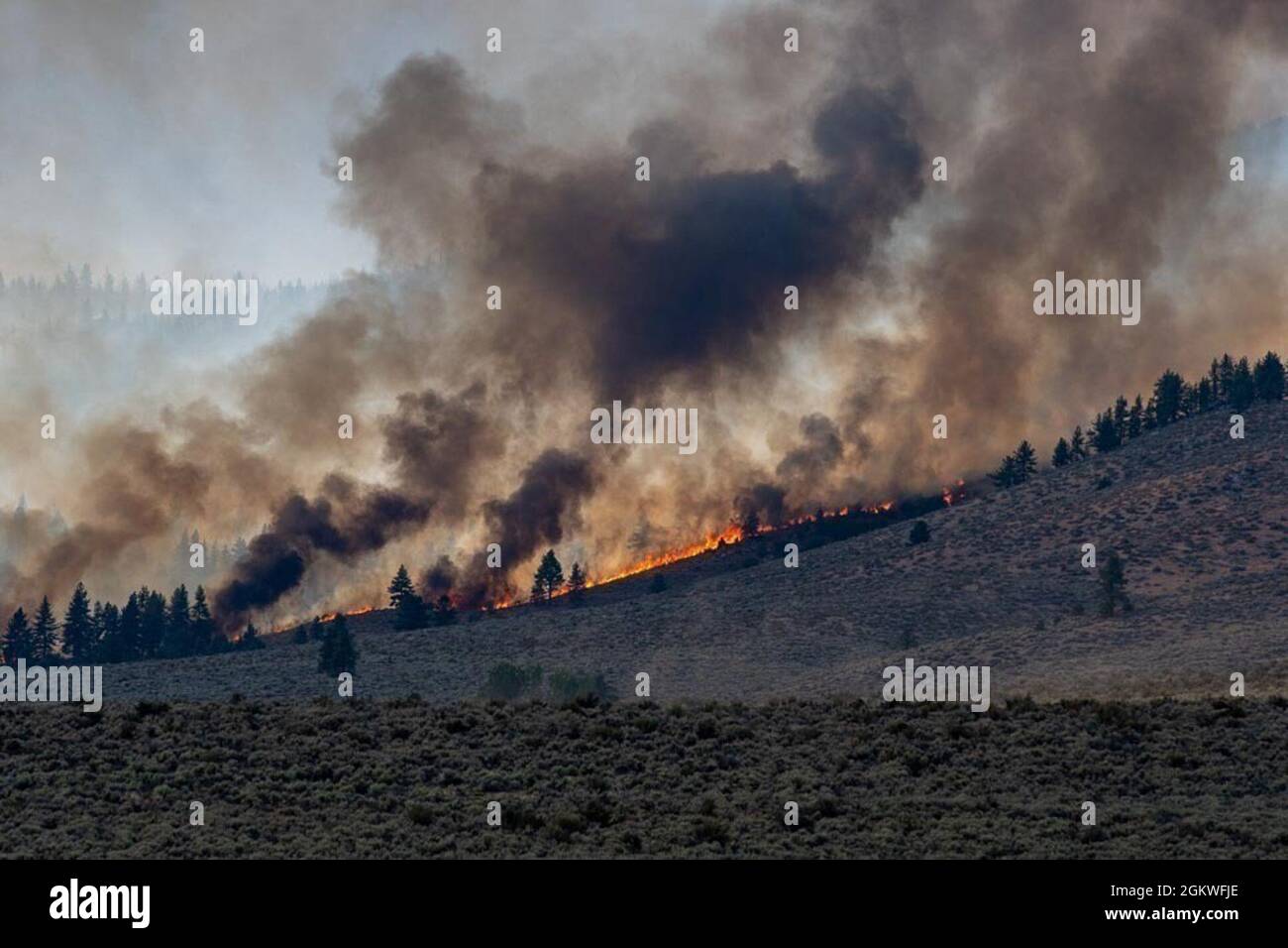 Dotta fire hires stock photography and images Alamy