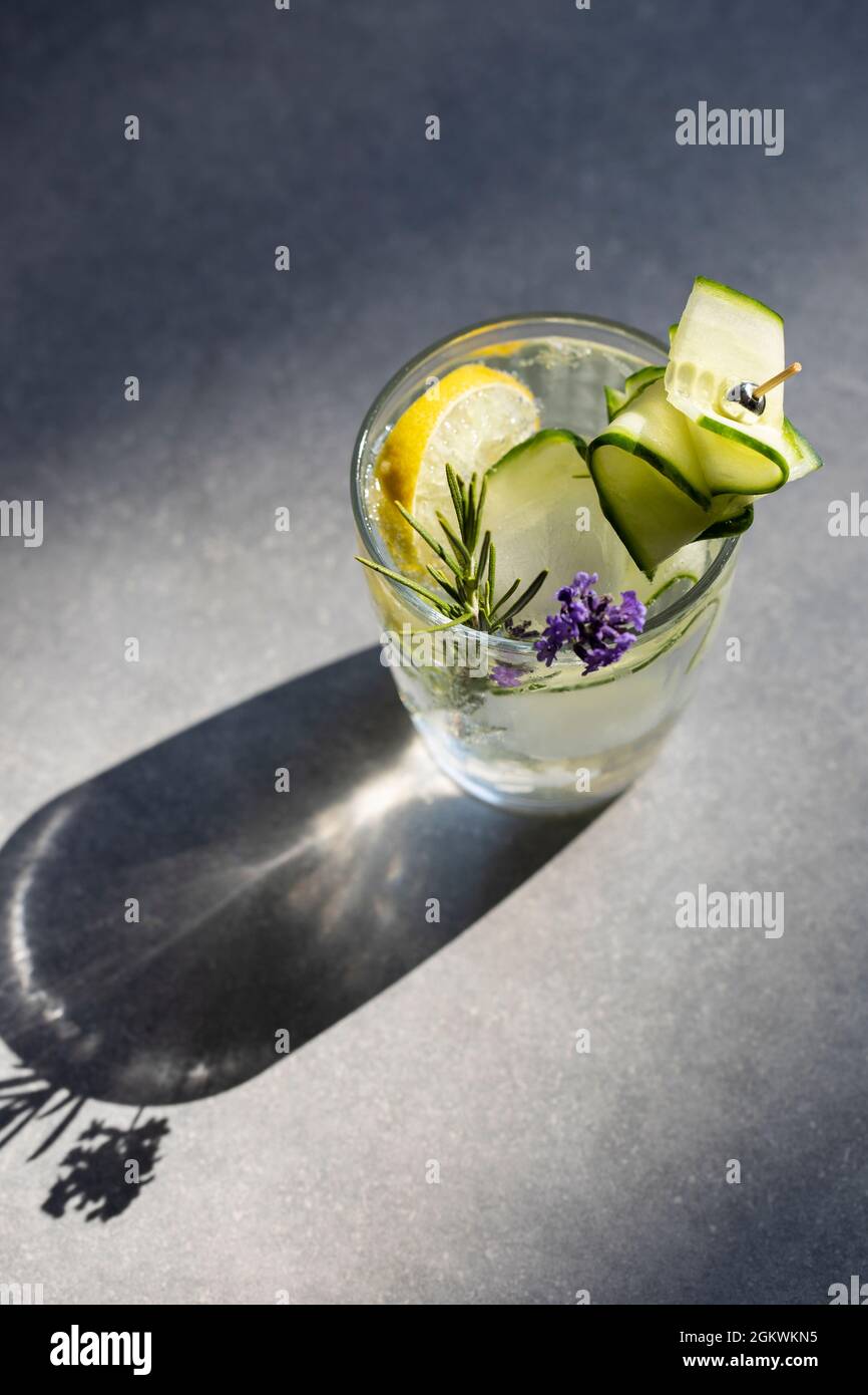 Gin and tonic with cucumber, juniper berries and rosemary Stock Photo