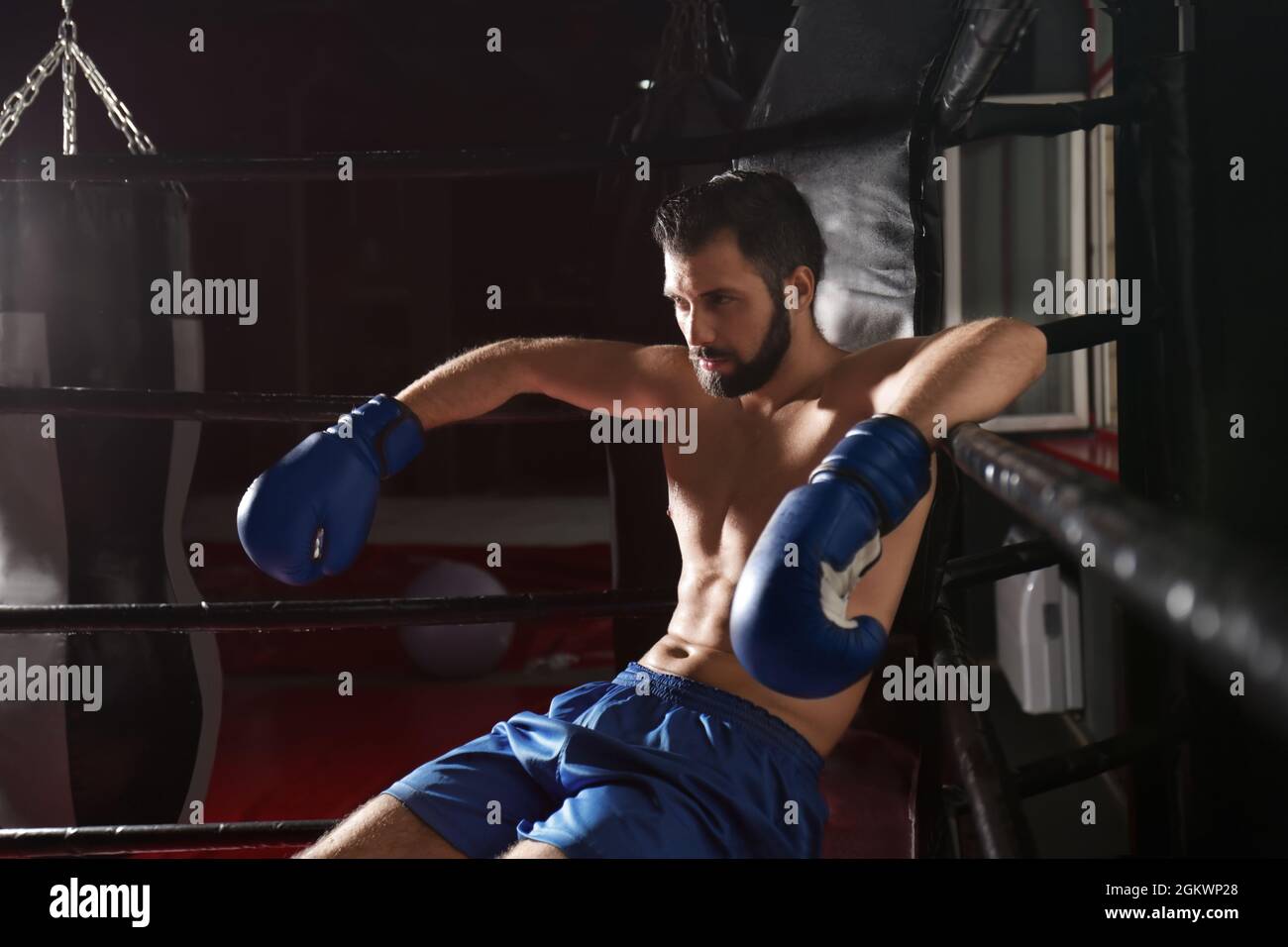 Professional boxer having break during training Stock Photo Alamy