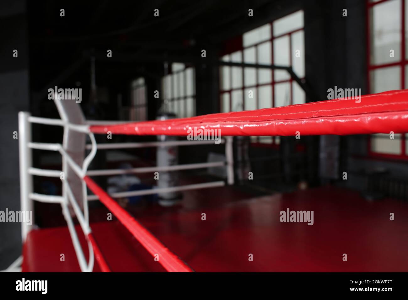 Ropes of boxing ring in gym, closeup Stock Photo Alamy