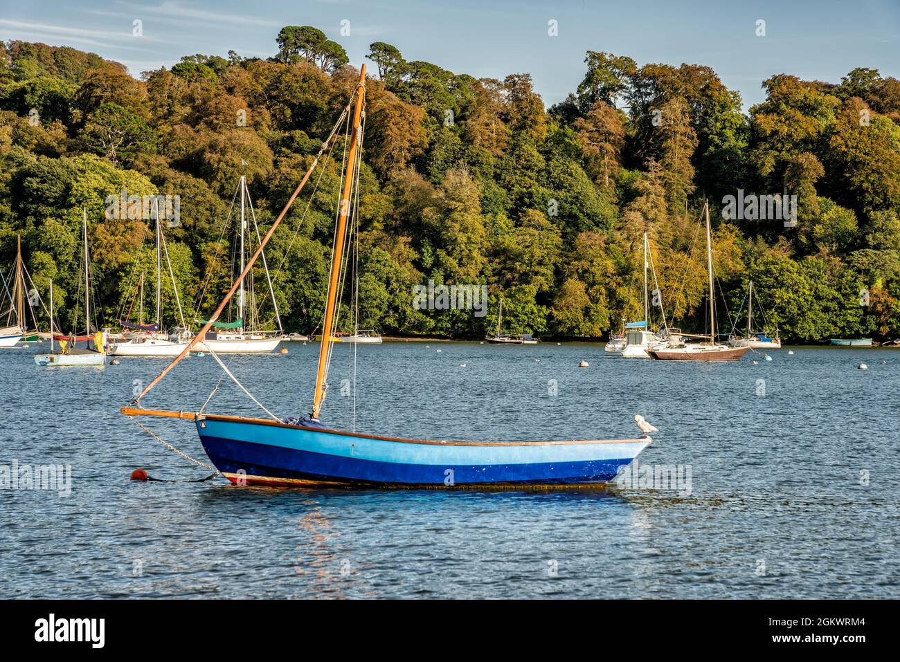 Sailing boats moored on the River Dart near Dittisham, Devon, United Kingdom Stock Photo