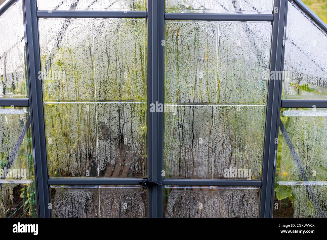 CONDENSATION ON WINDOWS AND WALLS 