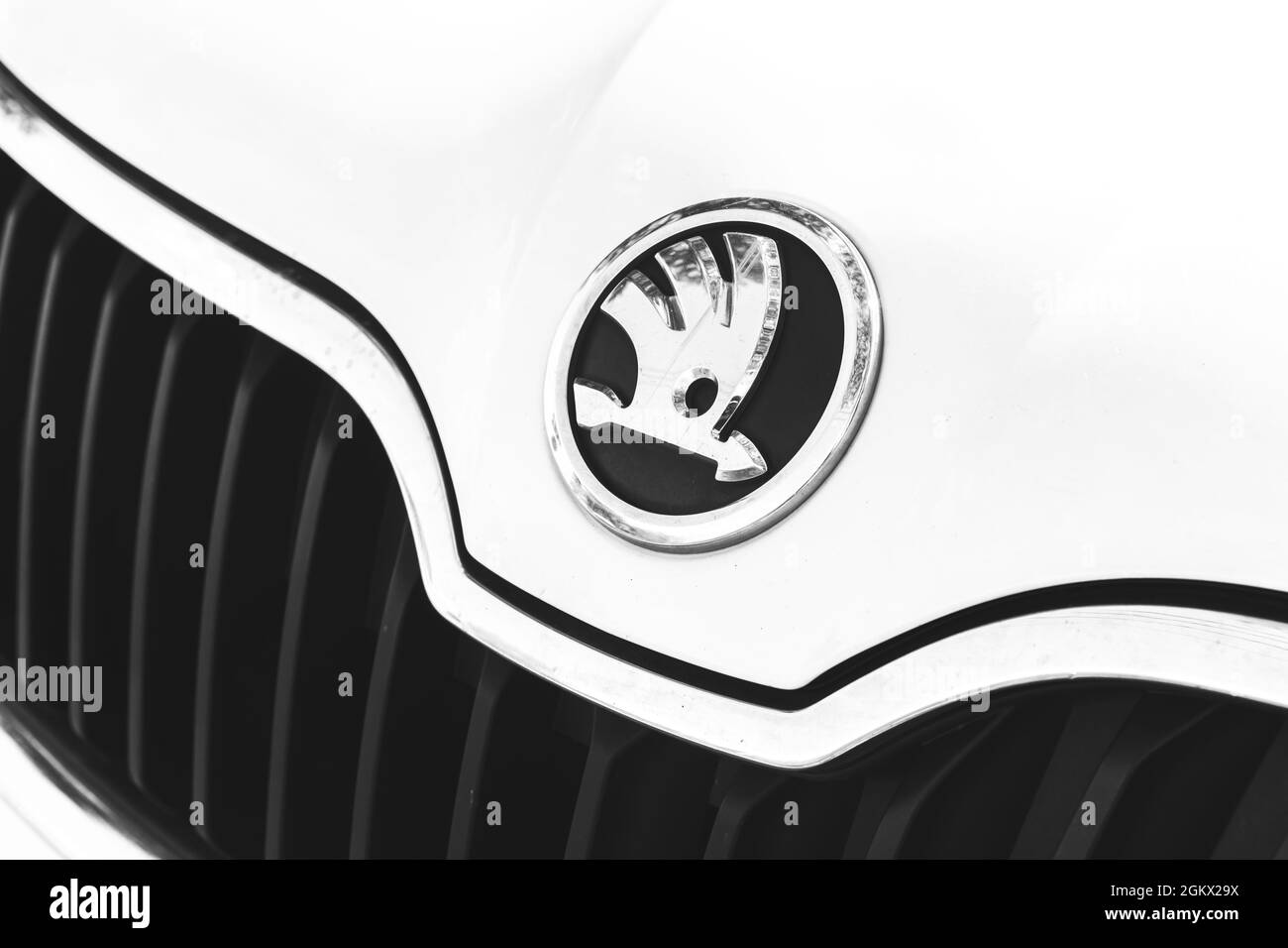Kharkov, Ukraine - September 13, 2021: Skoda brand logo on a white car background, emblem, symbol close-up Stock Photo