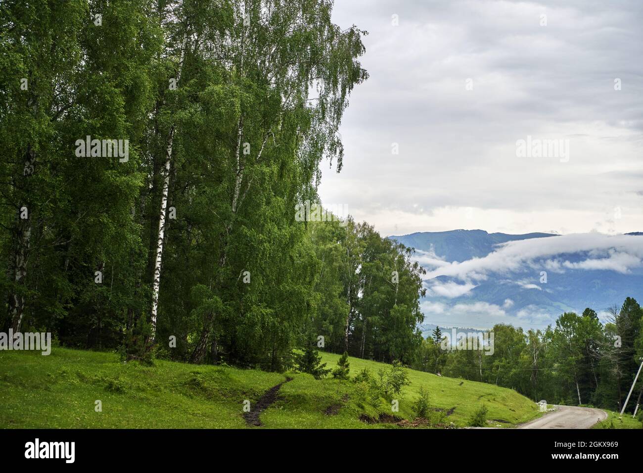 Vacation landscape. Russian Altai mountains. Multa region. Staycation concept Stock Photo