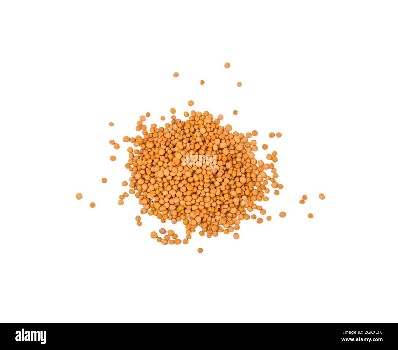 Close up one heap of wholegrain yellow mustard seeds spilled, isolated on white background, elevated top view, directly above Stock Photo