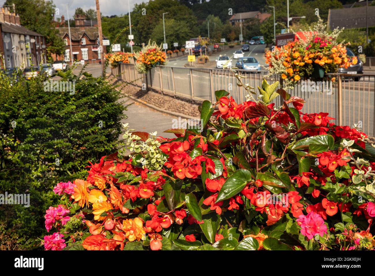 UK, England, Cheshire, Congleton, Mountbatten Way, colourful floral planting Stock Photo