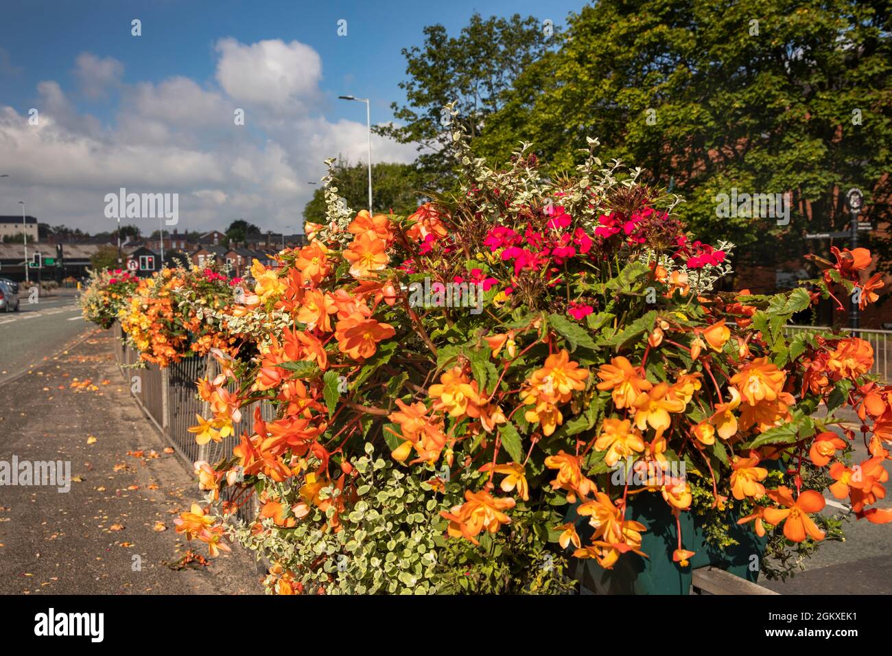 Che1589 UK, England, Cheshire, Congleton, Mountbatten Way, colourful floral planters along centre of road Stock Photo