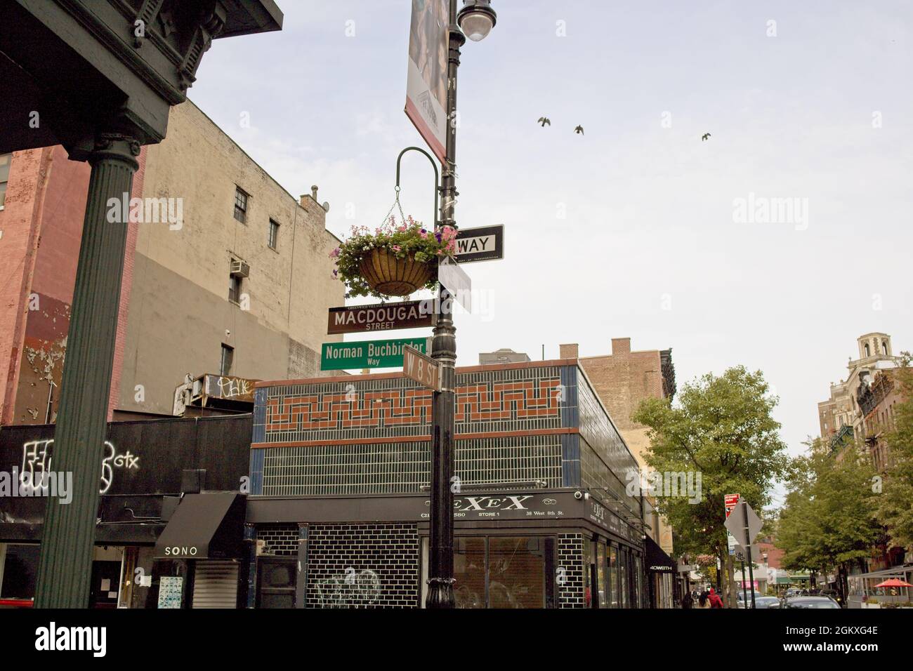 New York, NY, USA - Sept 15, 2021: Greenwich Village street sign showing Norman Buchbinder Way along with hanging flower basket Stock Photo