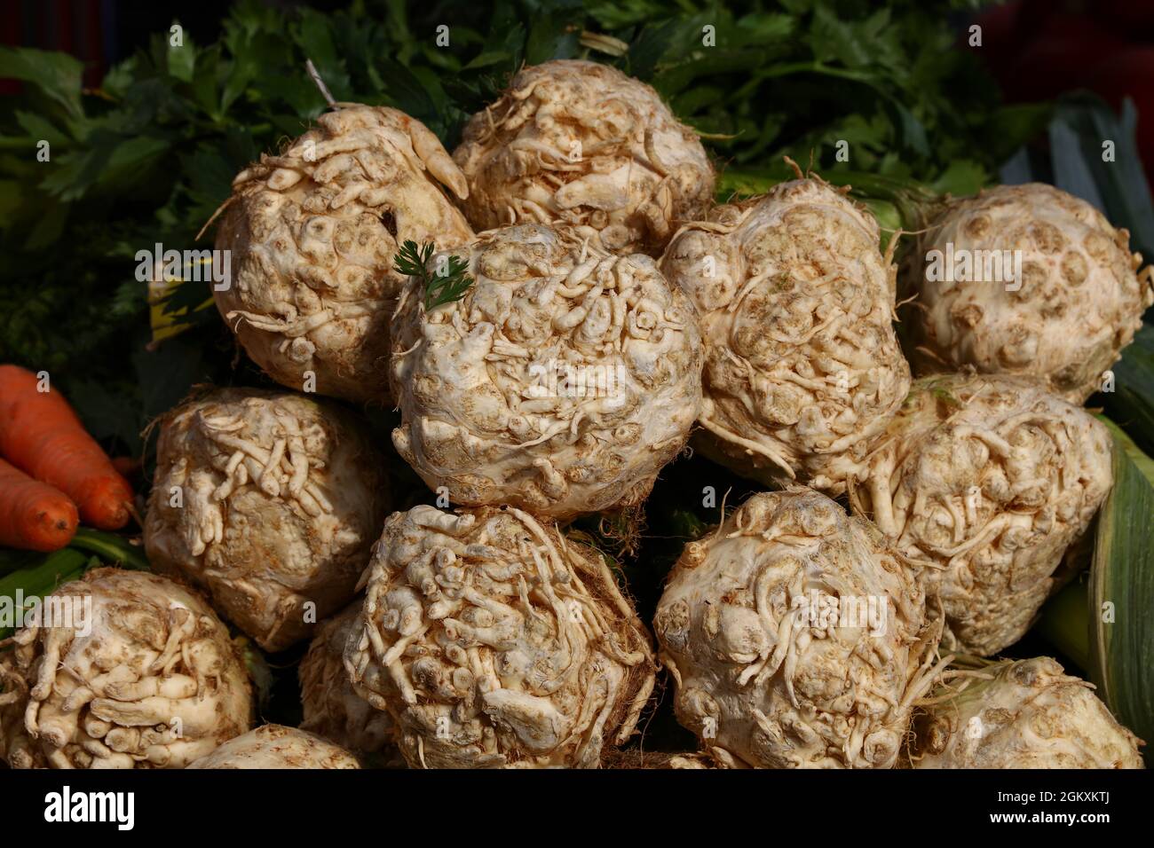 Close up knob turnip rooted celery with green stalk bunch on retail display of fresh food market, high angle view, Stock Photo
