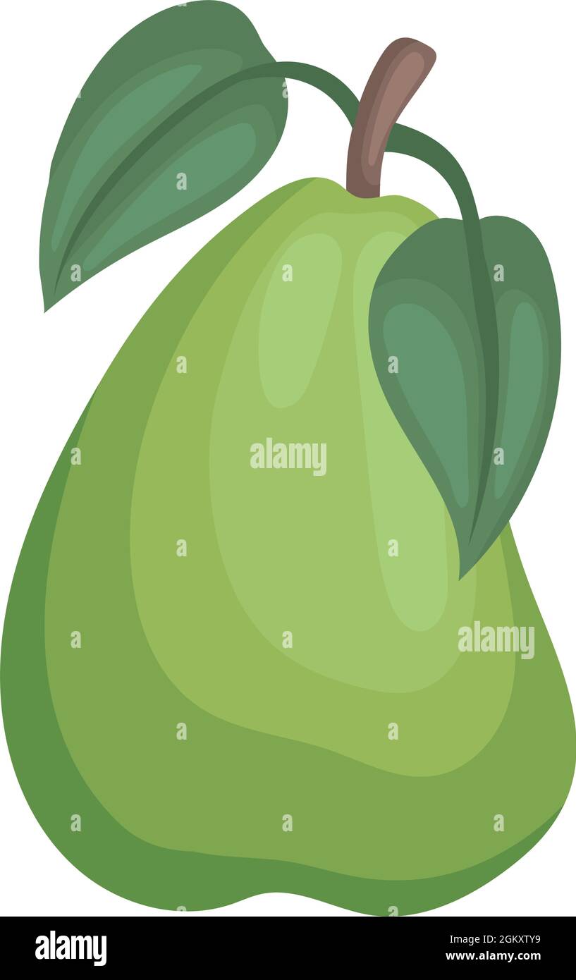 green pear illustration Stock Vector Image & Art - Alamy
