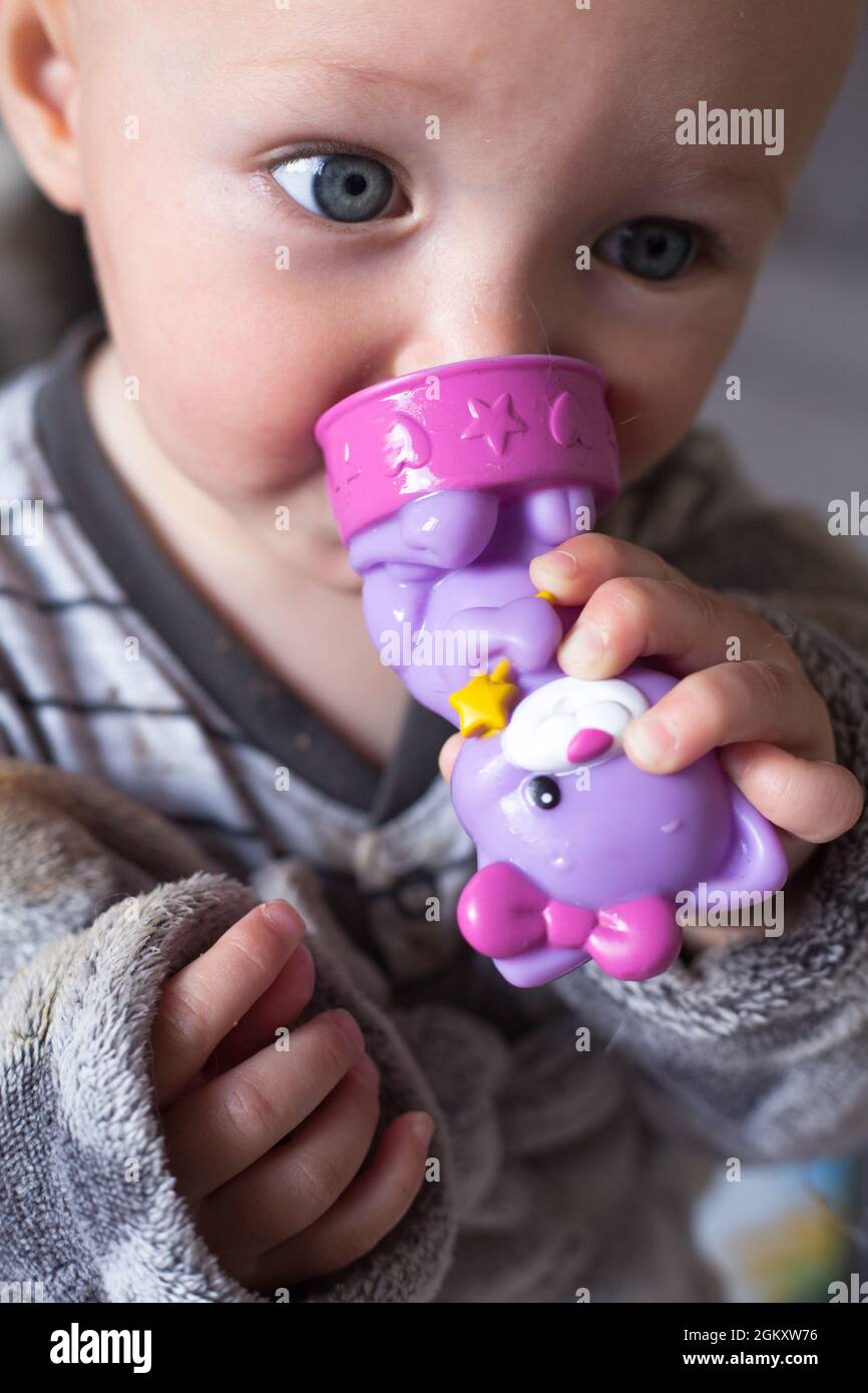 Blue eye baby girl in grey clothes and bathrobe holds in hands and nibble a violet toy cat. First tooth. Closeup portrait of caucasian child. Teething Stock Photo