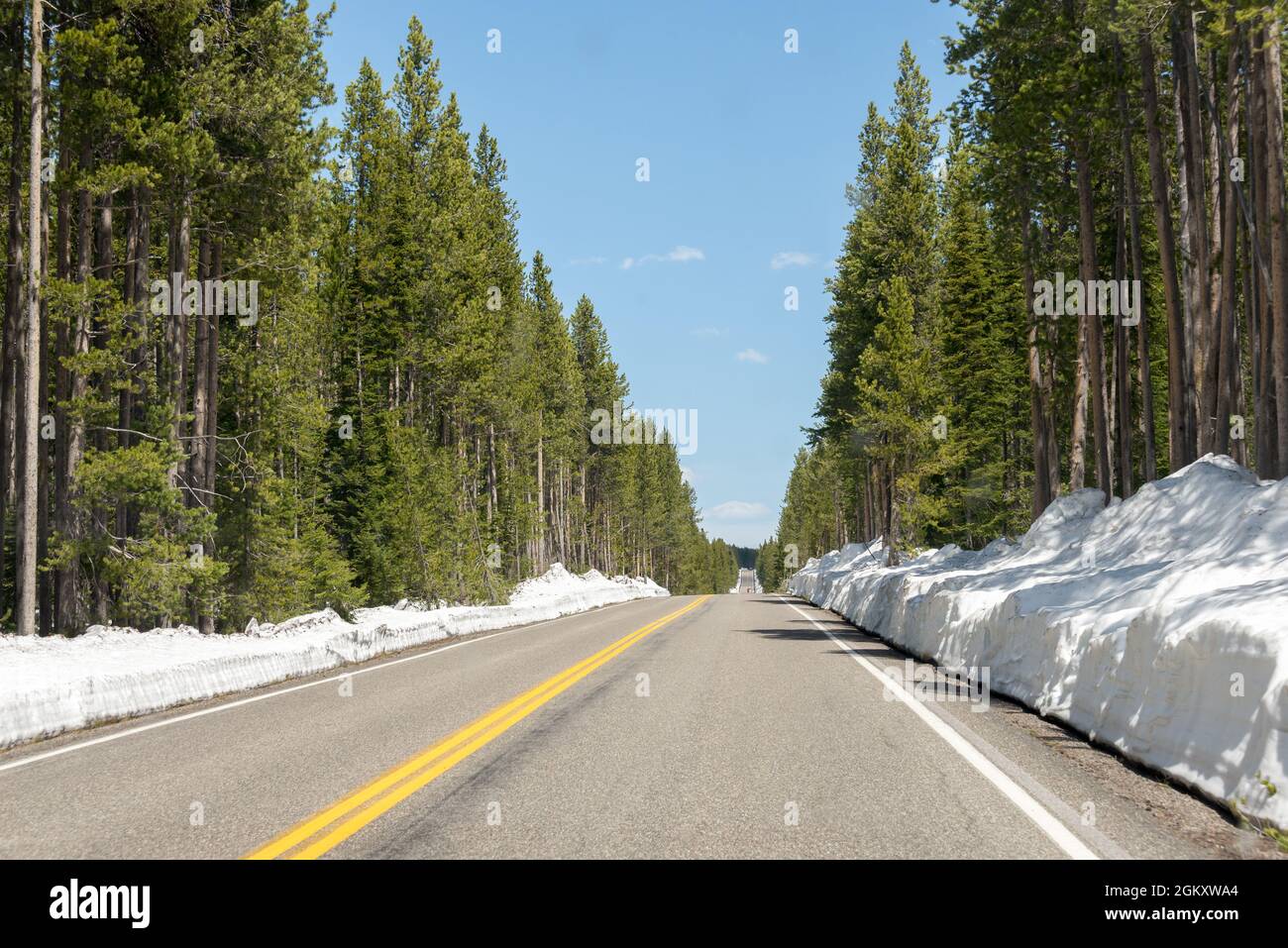 Entering to Yellowstone National Park from the south, with a road surrounded by 1 meter of snow and a line of trees on each side. Wyoming, United Stat Stock Photo
