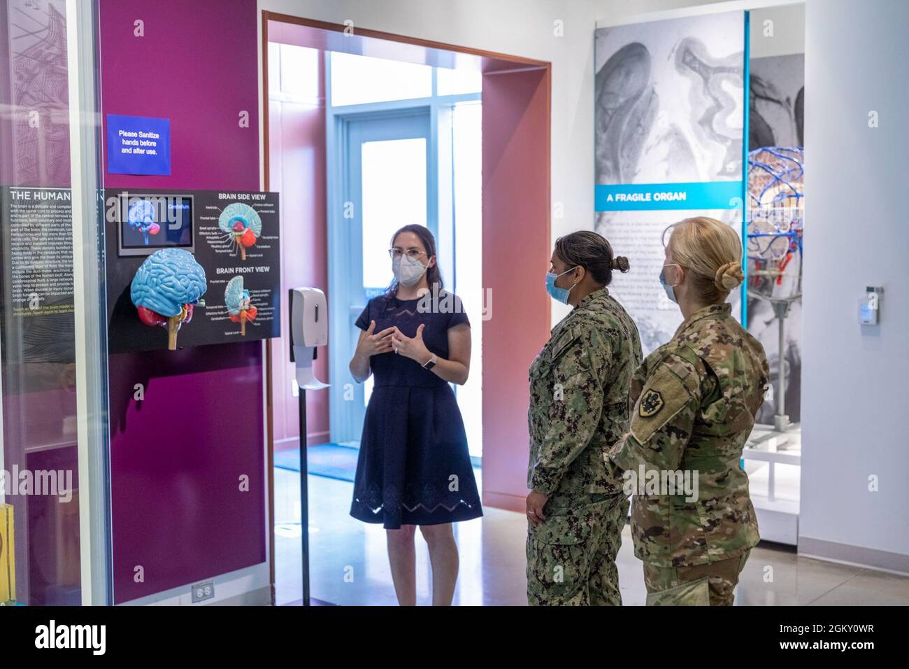 Description: Brig. Gen. Katherine Simonson 2021 Tour     Caption: Gwen Nelmes (left), Education Coordinator at the National Museum of Health and Medicine, provides a tour of the public galleries to Brig. Gen. Katherine Simonson (far right), Deputy Assistant Director, Research and Development Directorate, Defense Health Agency, and her staff on July 22, 2021, at the museum in Silver Spring, Maryland. (Disclosure: This image has been cropped to emphasize the subject.) Stock Photo