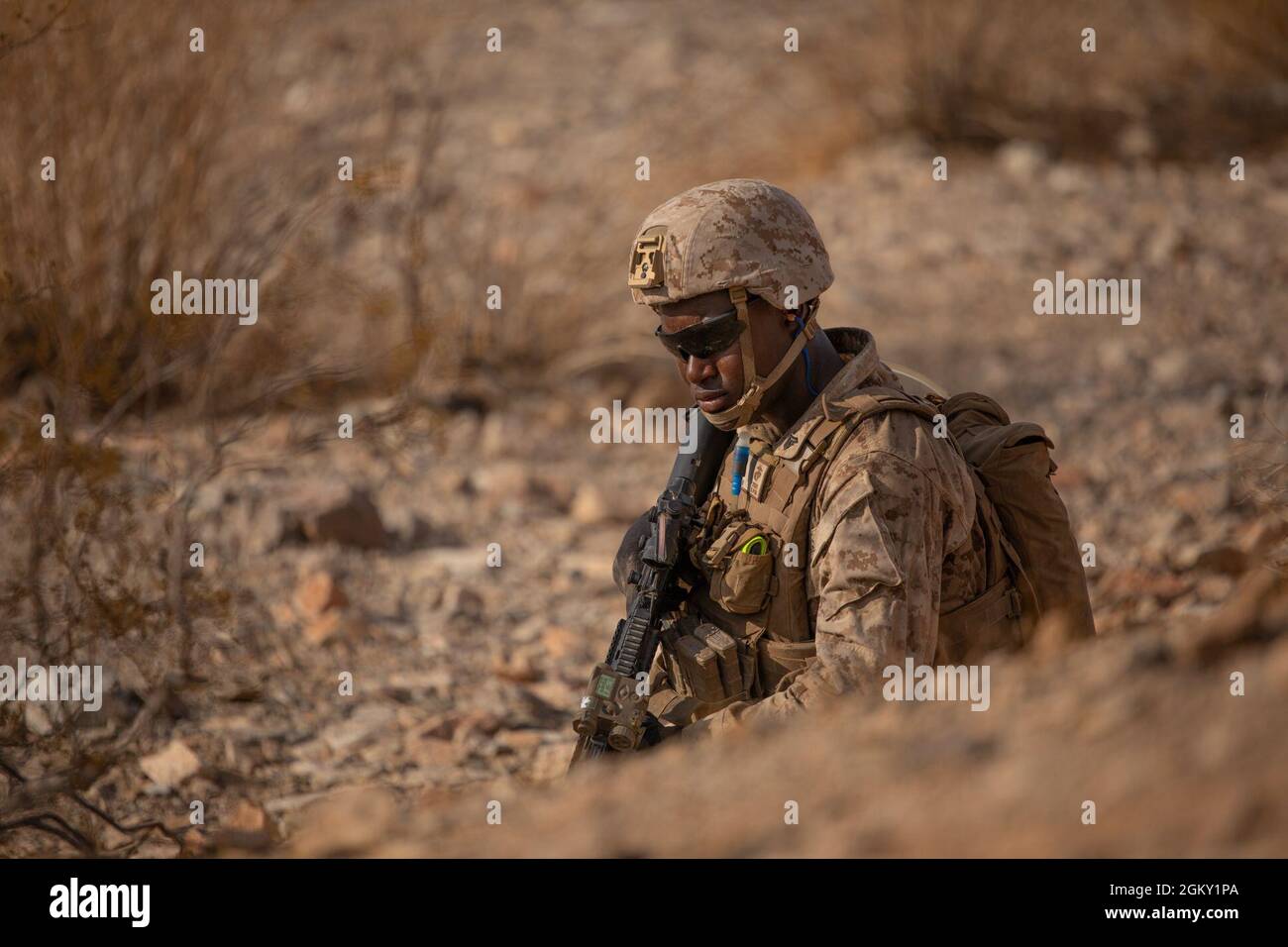 A Marine with Kilo Company, 3rd Battalion, 25th Marines, 4th Marine Division, posts security on Range 400 during Integrated Training Exercise (ITX) 4-21 at Marine Corps Air Ground Combat Center, Twentynine Palms, California on July 23, 2021. Range 400 is a company-sized live-fire assault range that requires complex coordination of fires, producing combat-ready Reserve Marines prepared to augment and reinforce the Active Component. Stock Photo