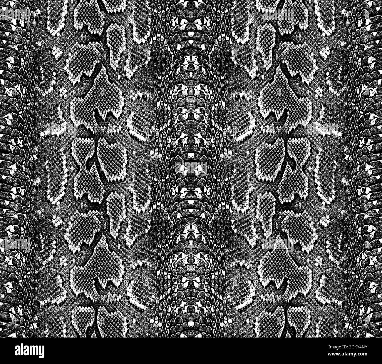 Snake skin pattern texture repeating seamless monochrome Texture snake