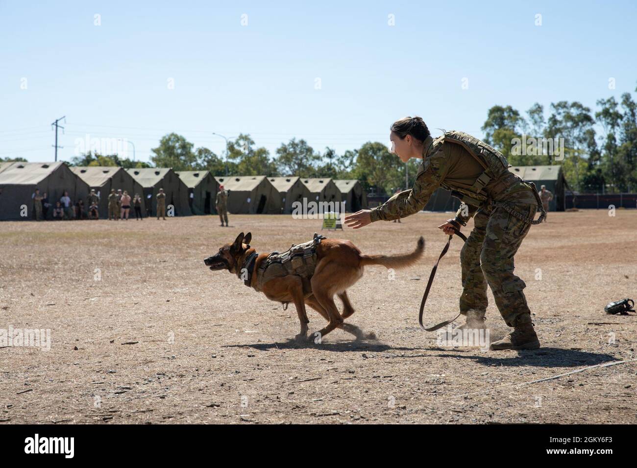 Codey Dog Lavarack barracks hi-res stock photography and images - Alamy