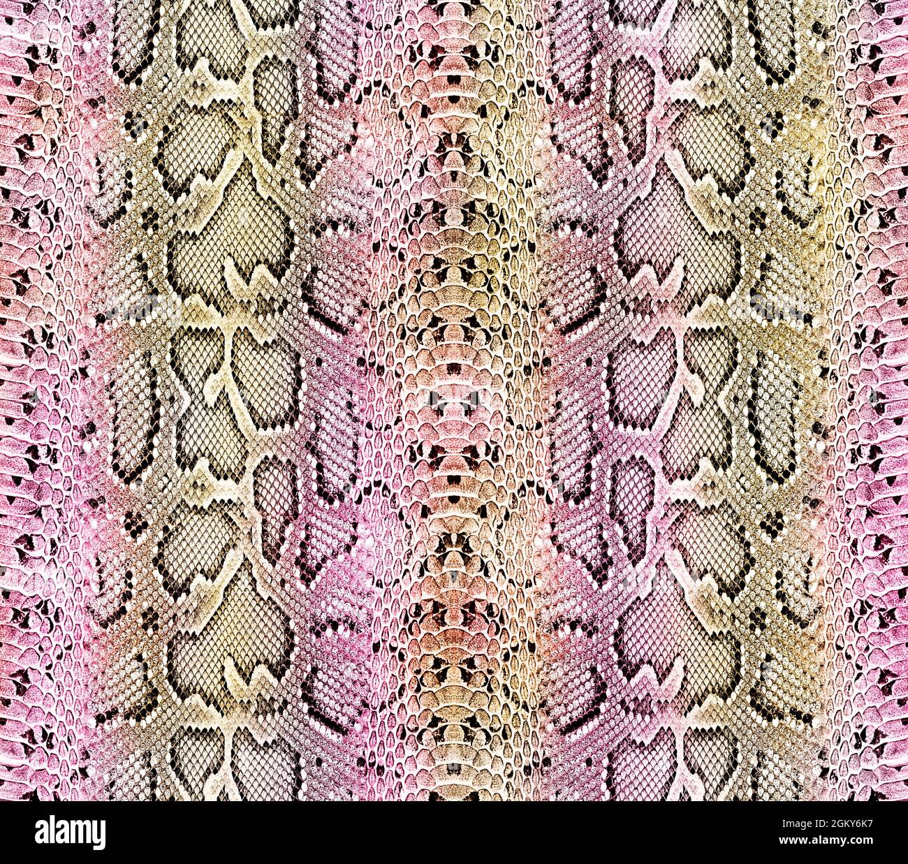 roen×semantic design snake pattern roen×semantic design snake pattern