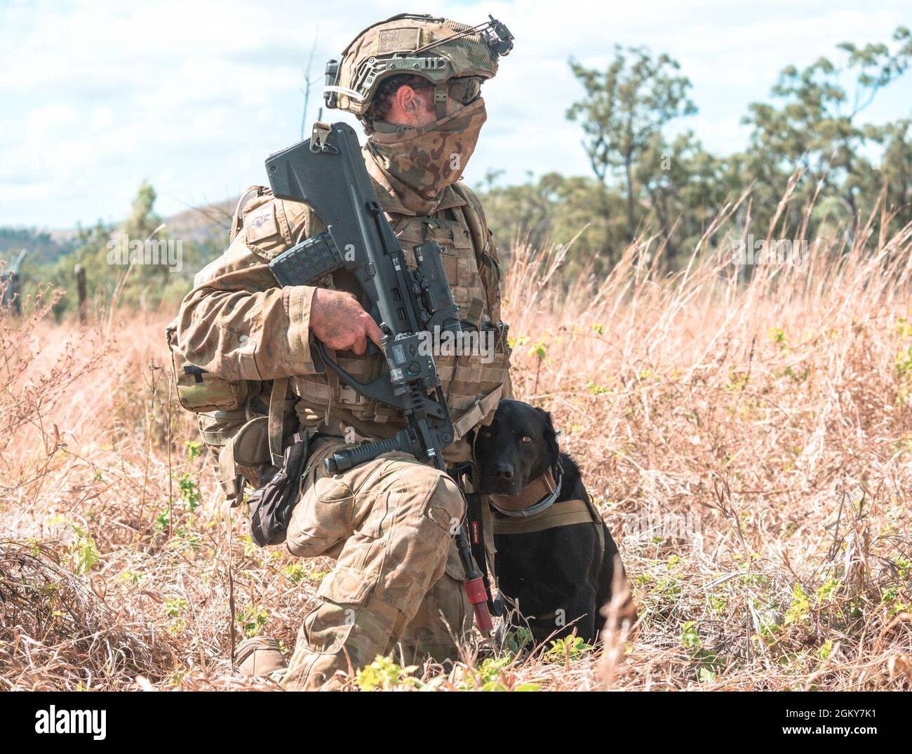 forsigtigt føle Astrolabe Australian Defence Force Spr. Guy Philips, an explosive ordnance disposal  dog handler with 3rd Combat Engineer Regiment, waits for instruction  alongside Nixie, during a combined urban clearance at Exercise Talisman  Sabre 21