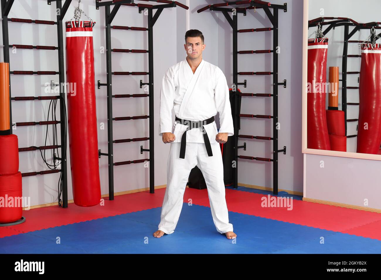 Male karate instructor in dojo Stock Photo Alamy