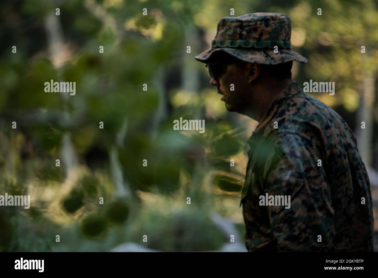 A U.S Marine with 2nd Battalion, 24th Marine Regiment, 4th Marine Division scouts the area during their final exercise in Marine Corps Mountain Warfare Training Center, Calif. On July 27, 2021. Marines with 2nd Battalion, 24th Marine Regiment and 4th Combat Engineer Battalion, 4th Marine Division are participating in a modified mountain training exercise at MCMWTC to prepare them for the challenges of operating in a harsh, mountainous environment many of their adversaries are acclimated to. Stock Photo