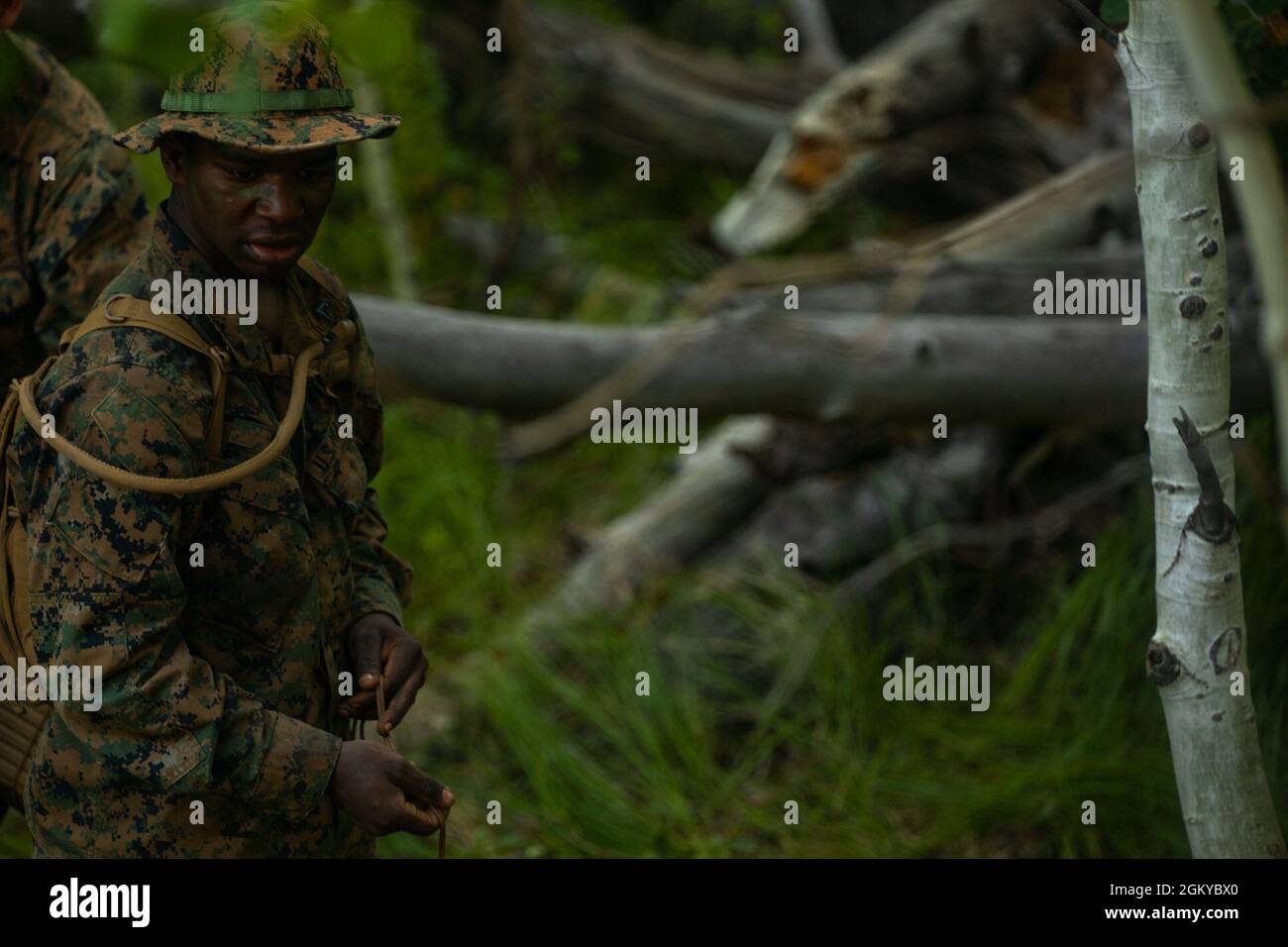 A U.S. Marine with 4th Combat Engineer Battalion, 4th Marine Division examines his surroundings during the final exercise in Marine Corps Mountain Warfare Training Center, Calif. on July 27, 2021. MCMWTC offers a unique training experience for the Marines with 4th Combat Engineer Battalion and 2nd Battalion, 24th Marines to prepare and develop an understanding of traversing a mountainous environment as they maintain their readiness to fight in any clime and place. Stock Photo