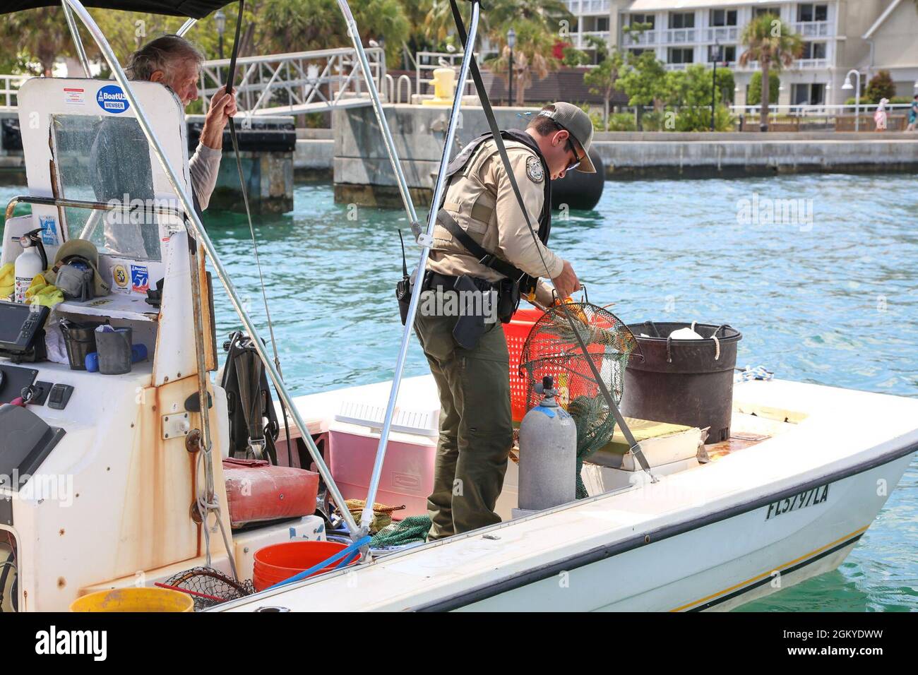 A Florida Fish and Wildlife officer checks the size of lobster during a spot check during the mini season of Sport Lobster near Key West, Florida, July 28, 2021. The bag limit is six lobsters per recreational harvester per day in Monroe County and Biscayne National Park. Stock Photo