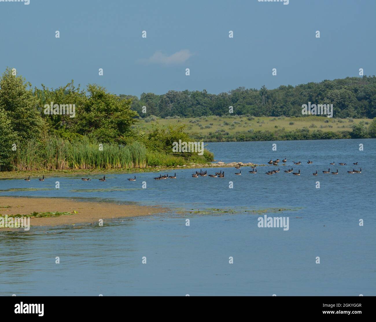 The landscape of Shabbona Lake State Park in Dekalb County, Illinois
