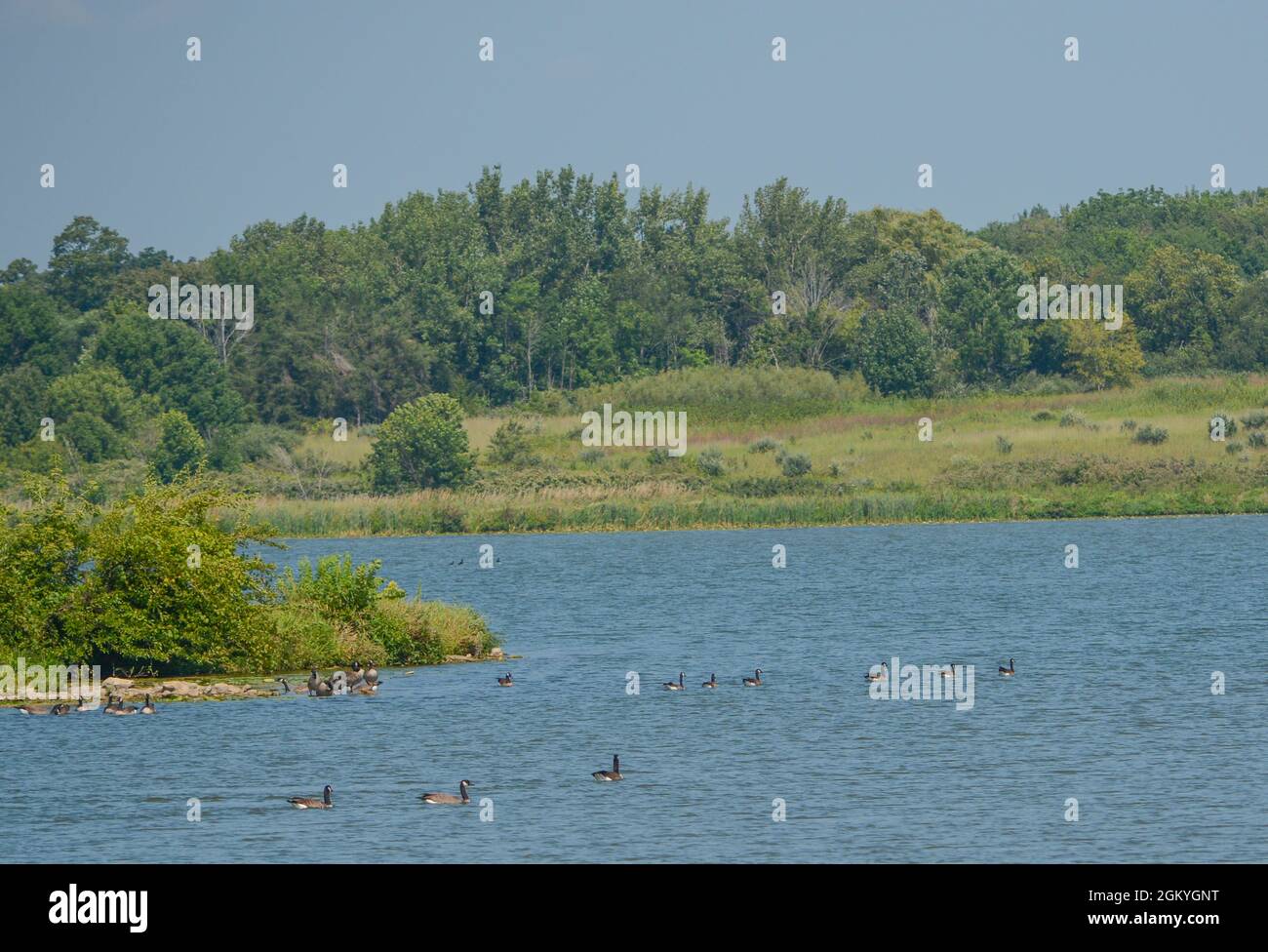 The landscape of Shabbona Lake State Park in Dekalb County, Illinois