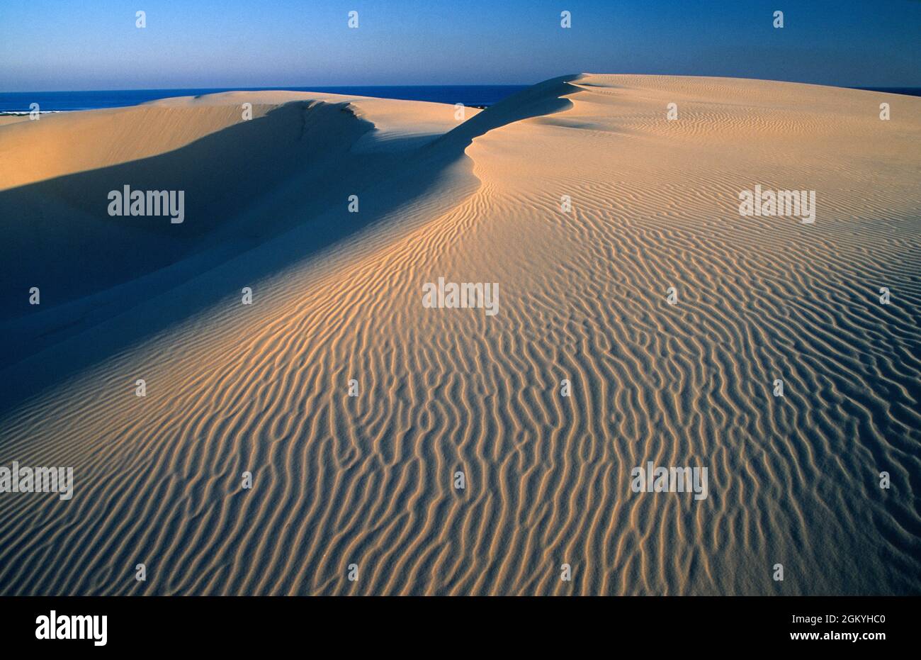 Western Australia. Nullarbor Plain. Coastal sand dunes near Eucla. Stock Photo