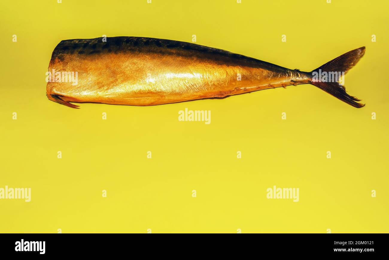 One whole appetizing cold-smoked mackerel lies on a bright yellow background. Horizontal photography. Copy space. Stock Photo