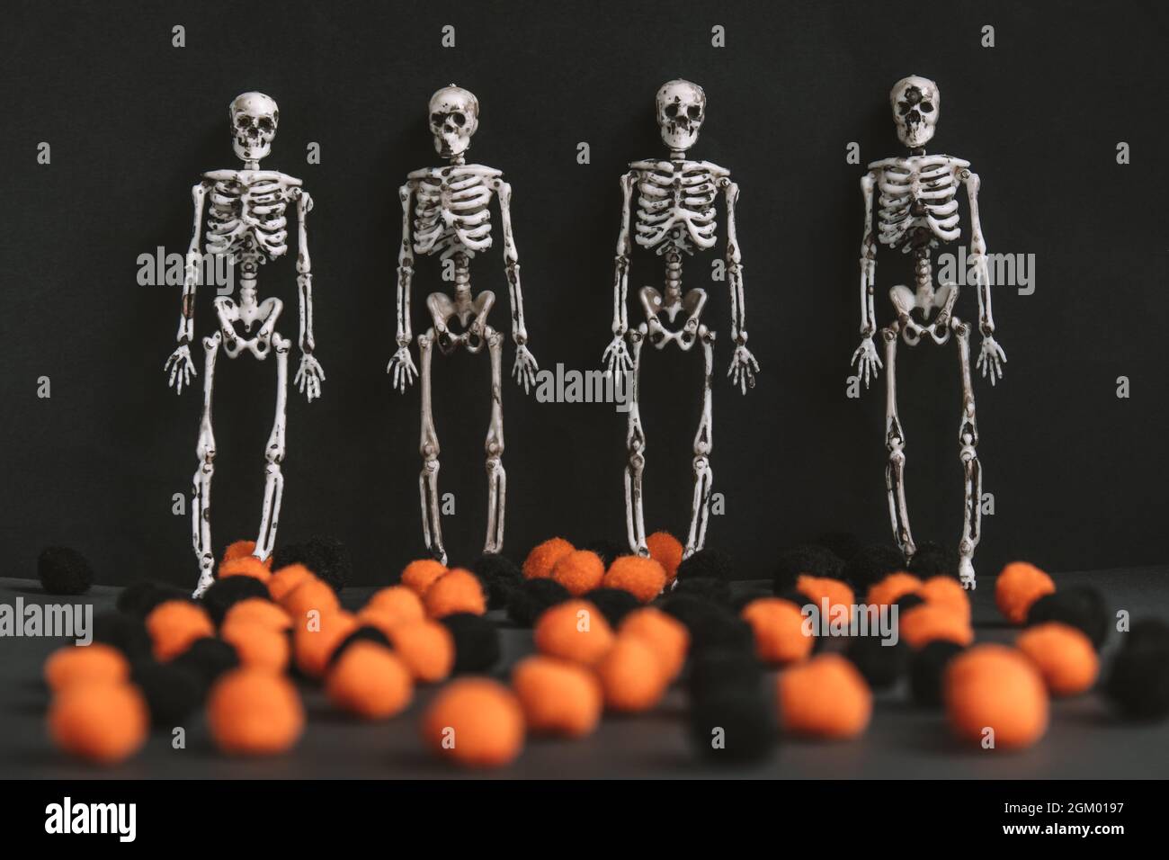 Human skeleton against black background hi-res stock photography and ...