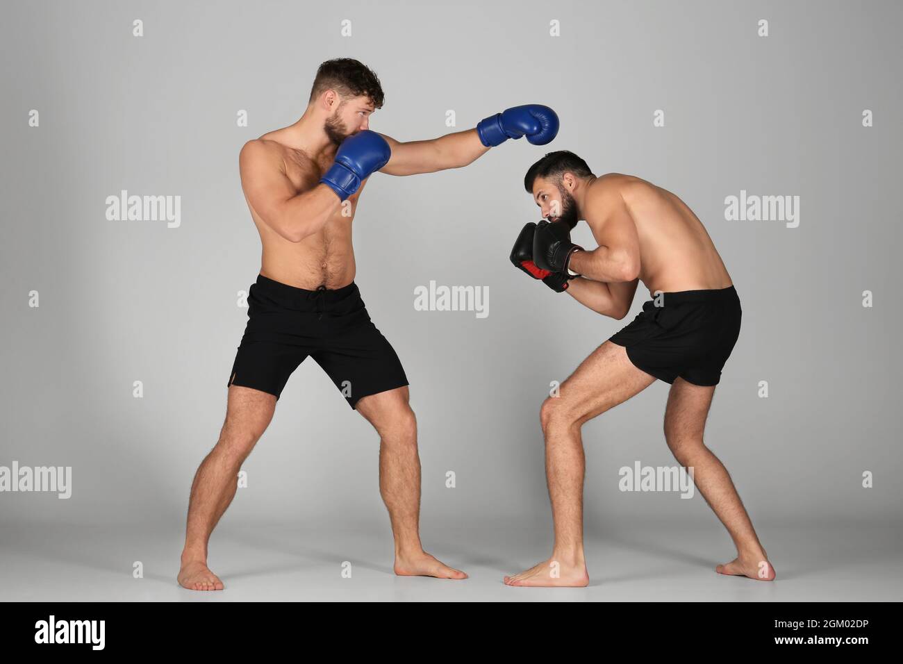 Male boxers fighting on light background Stock Photo Alamy