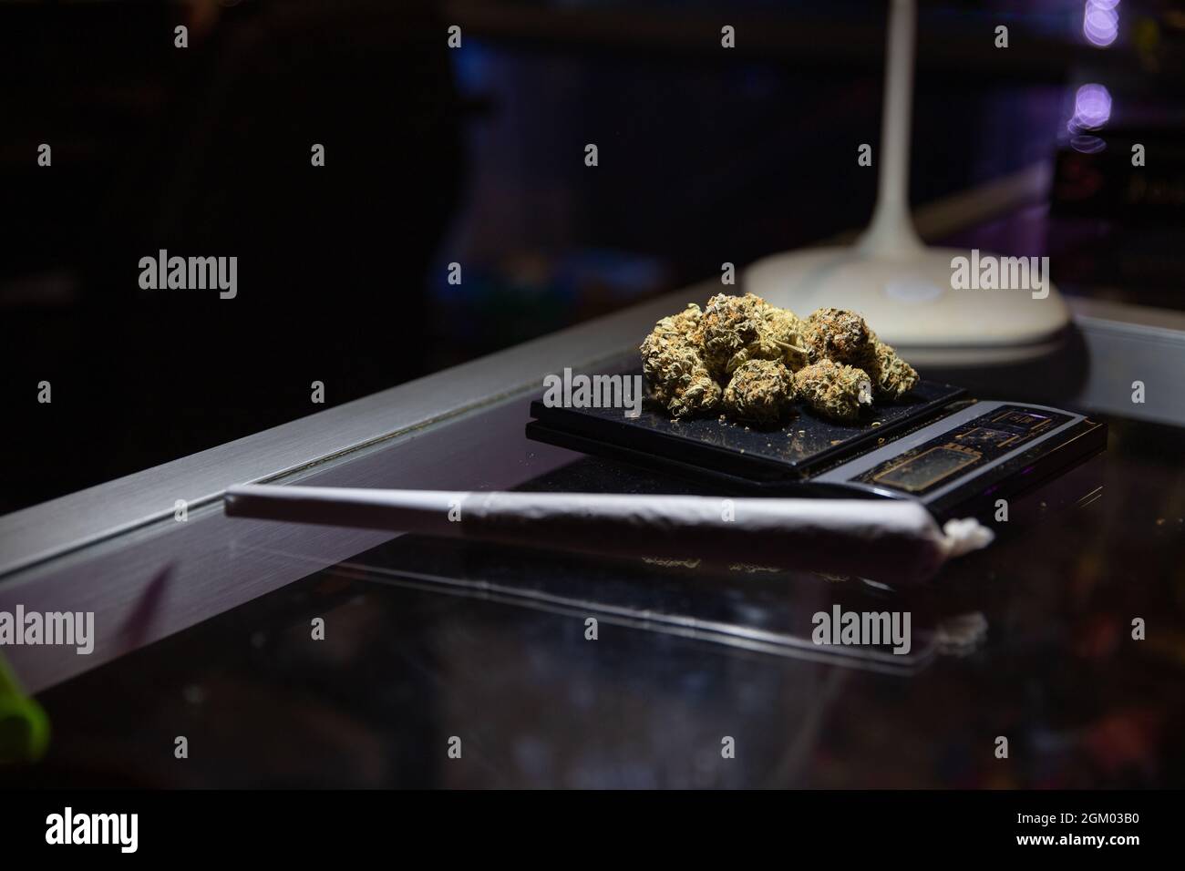 Close-up on raw marijuana placed on a weighing scale next to a rolled joint - focus on raw marijuana. Stock Photo