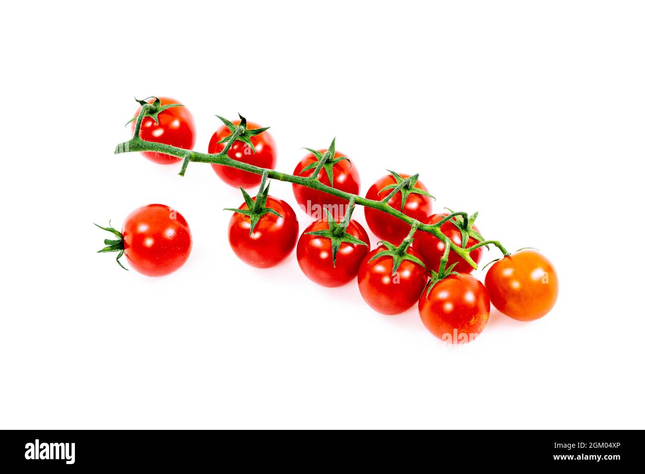 Cluster of solitary cherry tomatoes with one loose tomato on white surface Stock Photo
