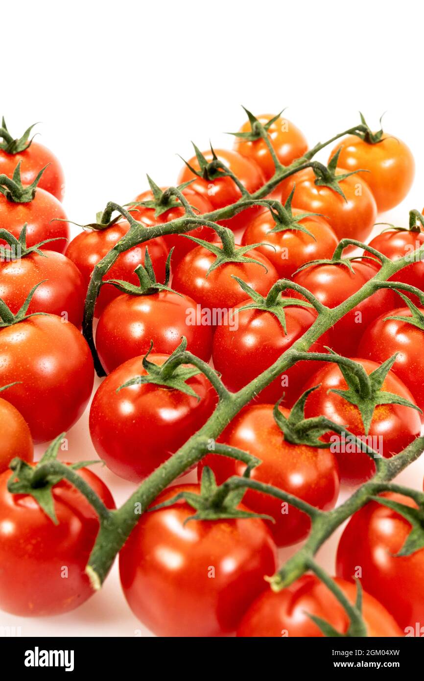 Image of bunch of cherry tomatoes on white background in studio ...