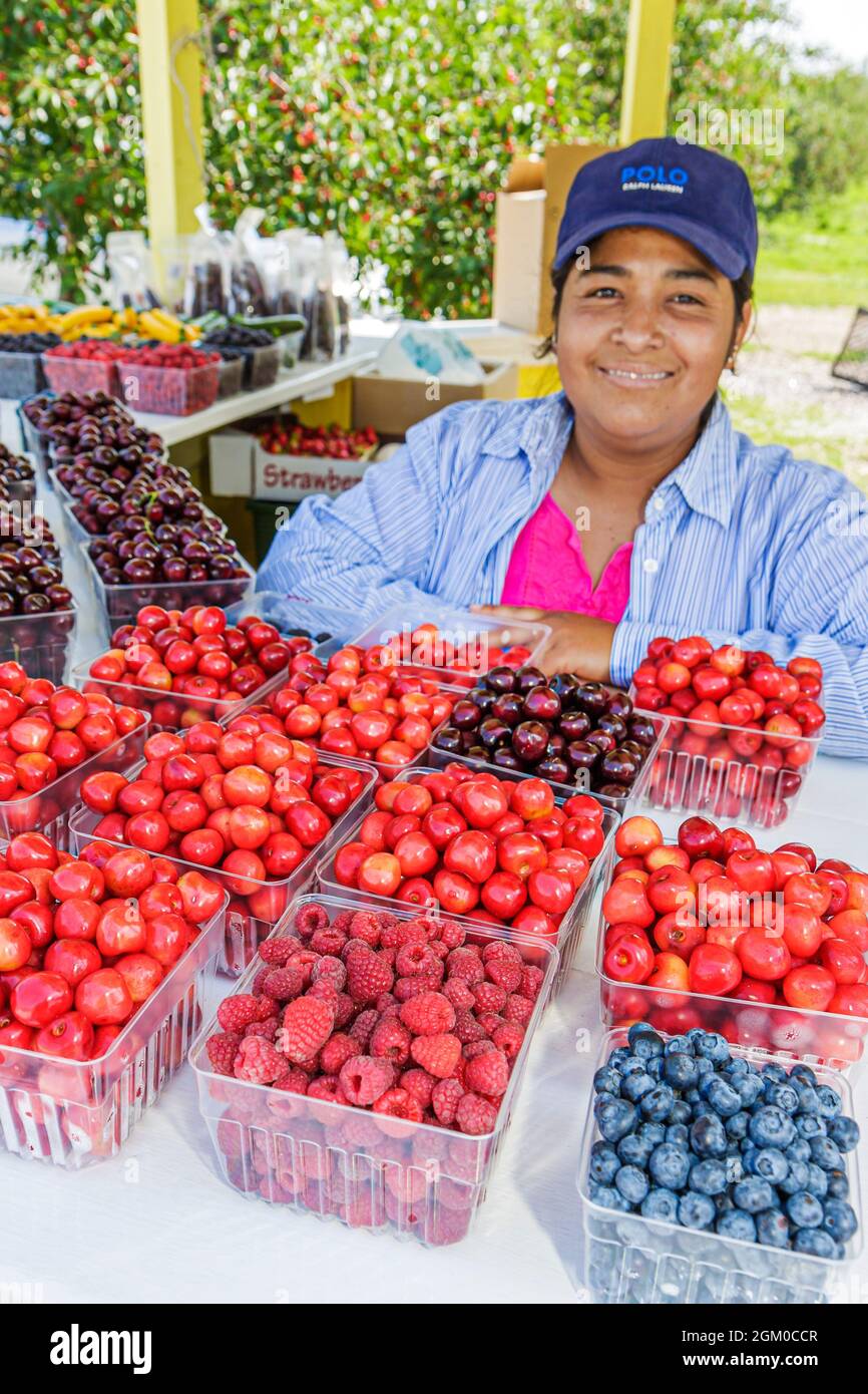 Michigan Traverse City,Old Mission Peninsula,sweet cherries Hispanic