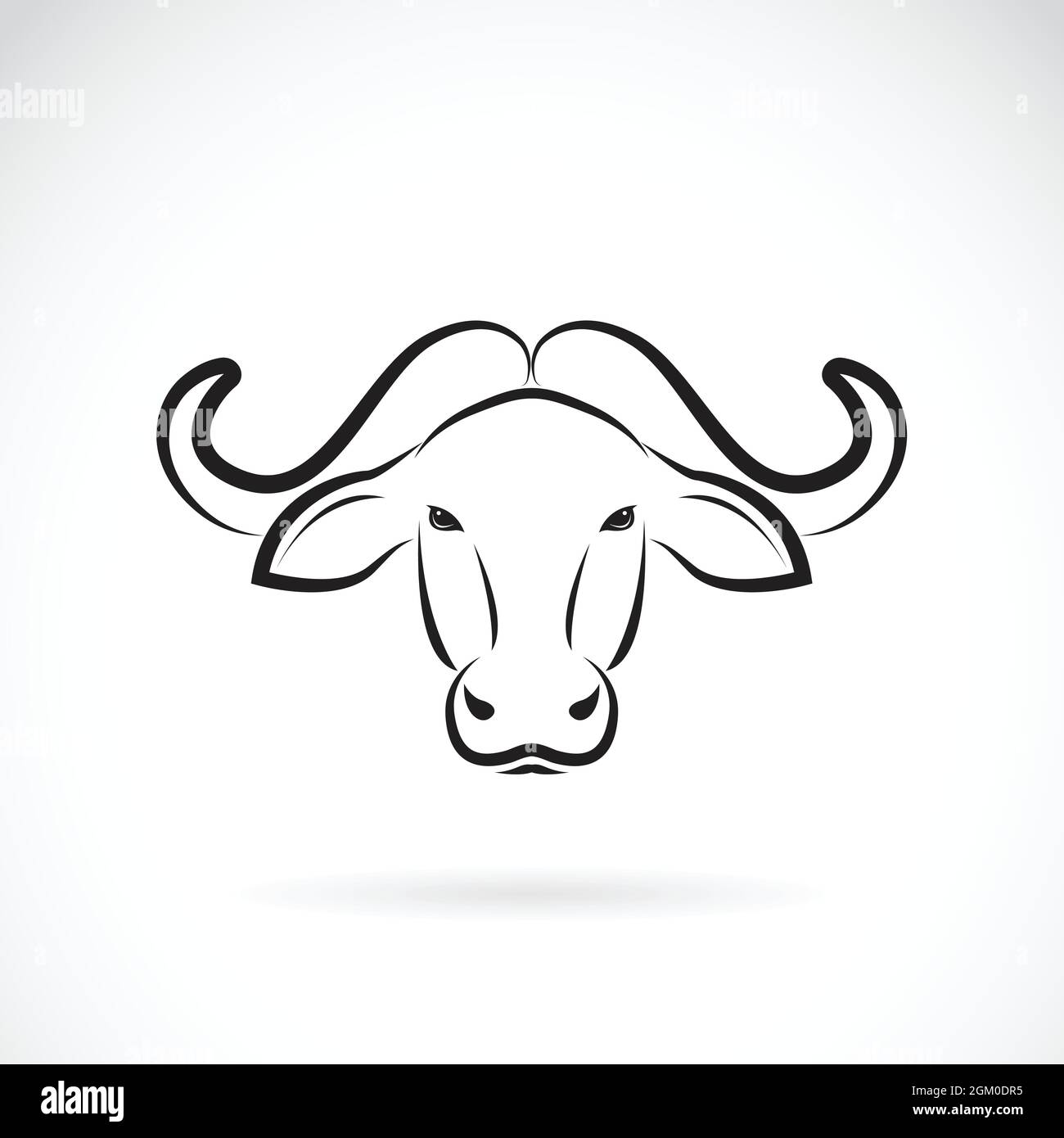 Vector image of an buffalo head on white background. Easy editable ...