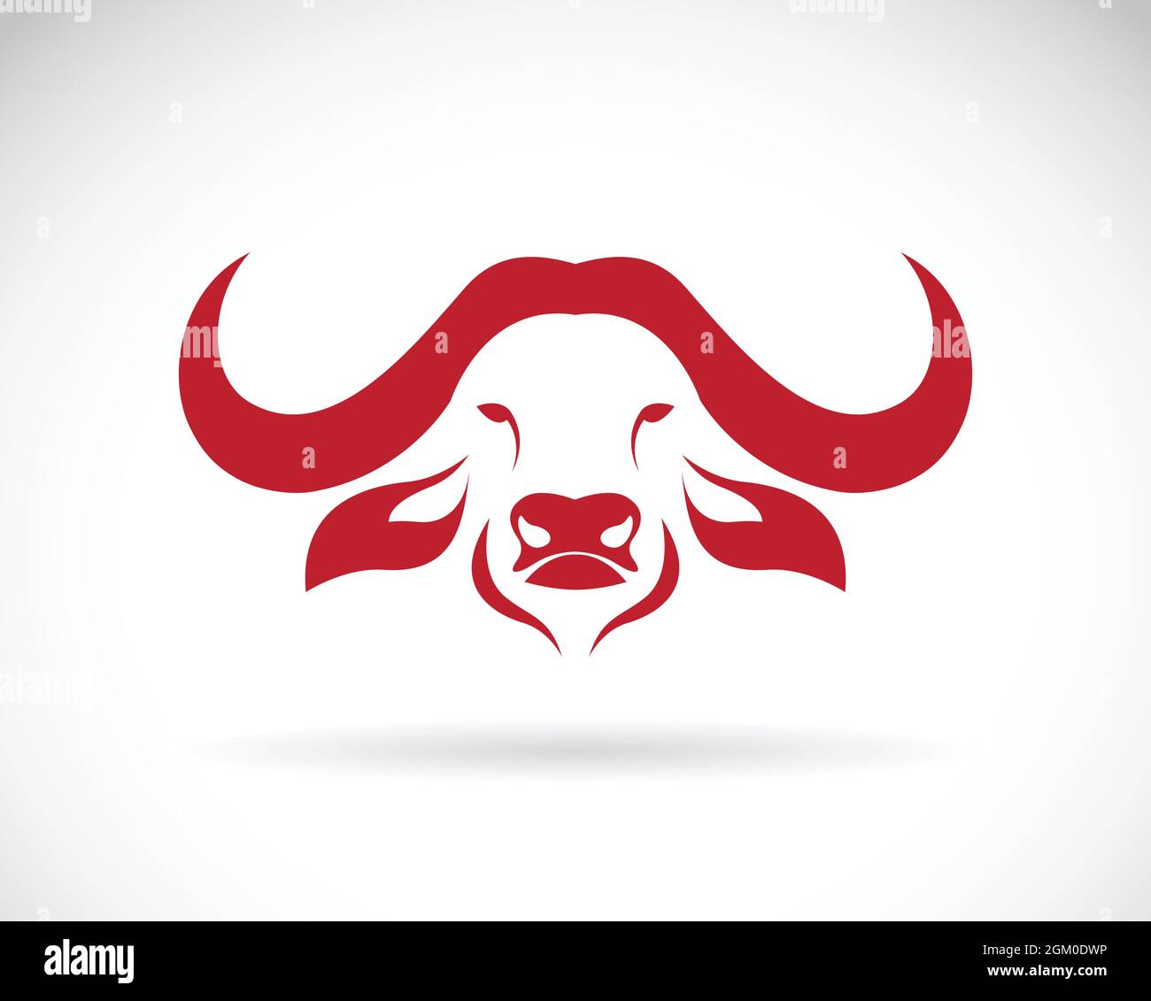 Vector image of an buffalo head on white background. Easy editable ...