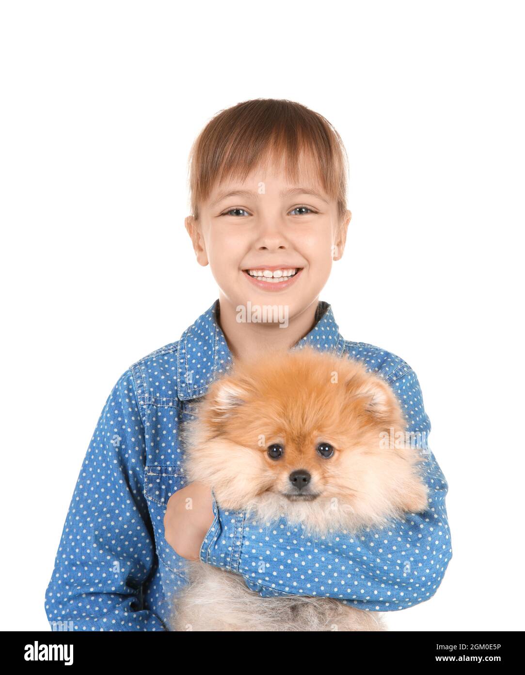 Cute girl with little dog on white background Stock Photo - Alamy