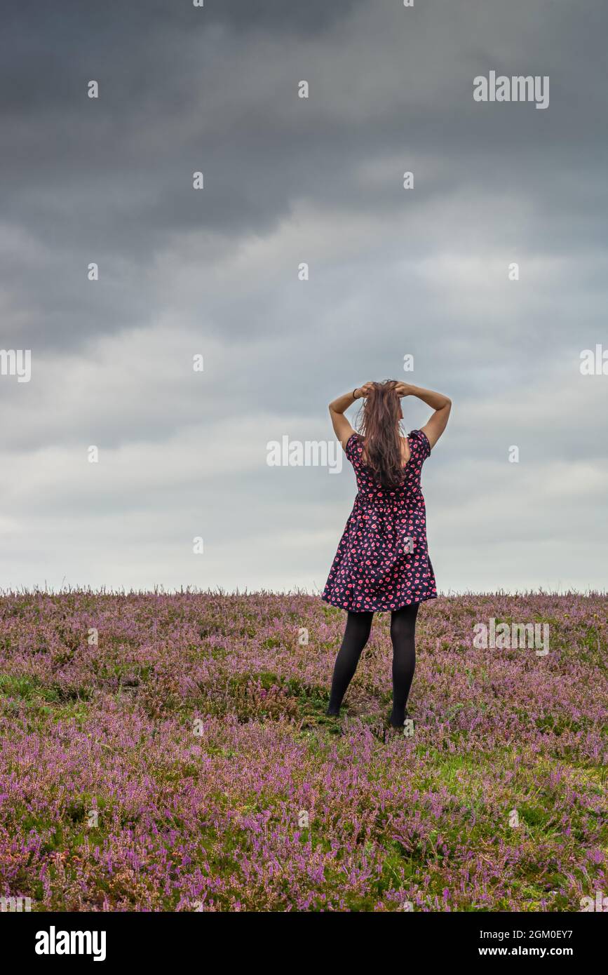 Woman standing in heather heathland in the New Forest during summer, England, UK Stock Photo