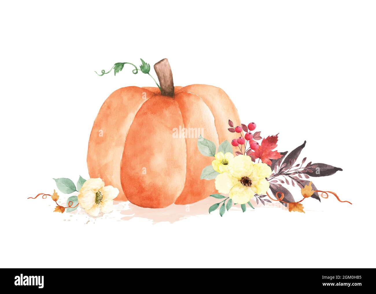 Autumn watercolor illustration with pumpkins and flowers leaves isolated on white background. Watercolor hand-painted perfect for design decorative gr Stock Vector