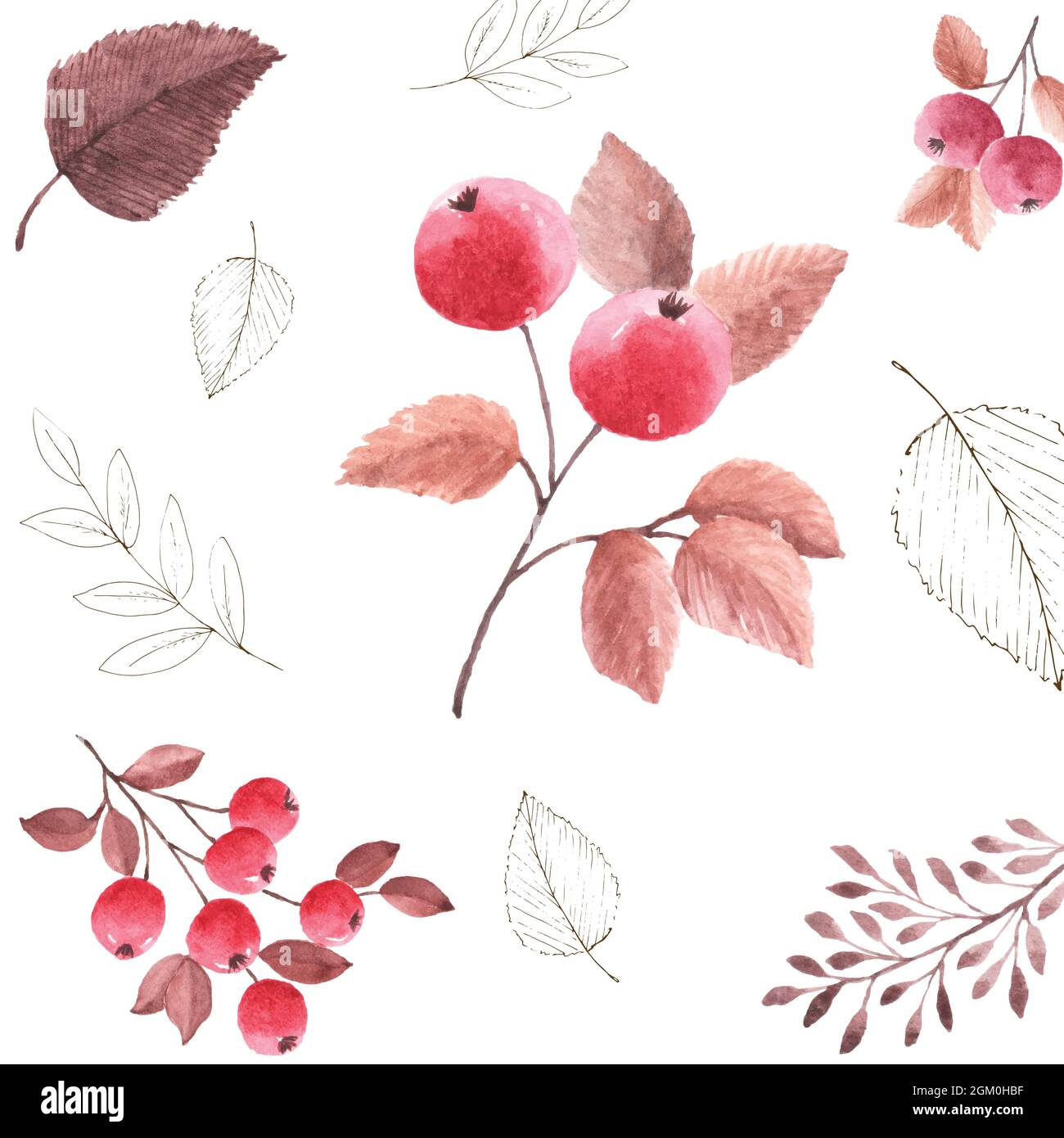 Watercolor seamless pattern autumn leaves on a white background. Watercolor hand-painted with rowan berries art design for decorative in the autumn fe Stock Vector